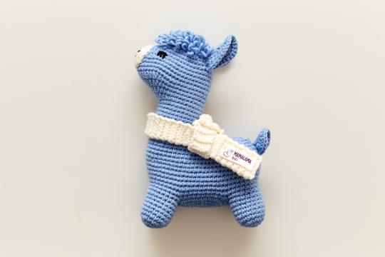 Llama toy & blanket gift box Blue