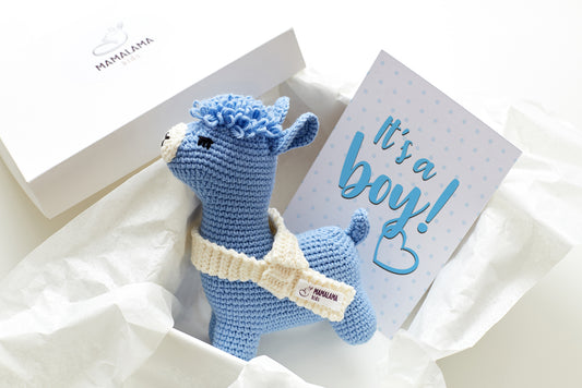 It's a Boy Llama toy gift box Blue