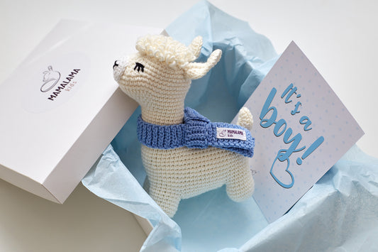 It's a Boy Llama toy gift box Blue