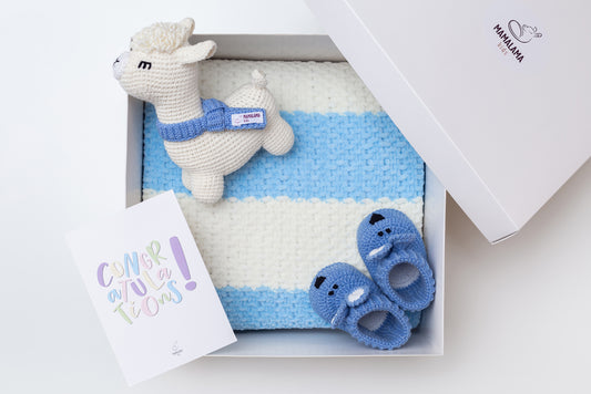 Llama toy & blanket & bunny booties gift box Blue