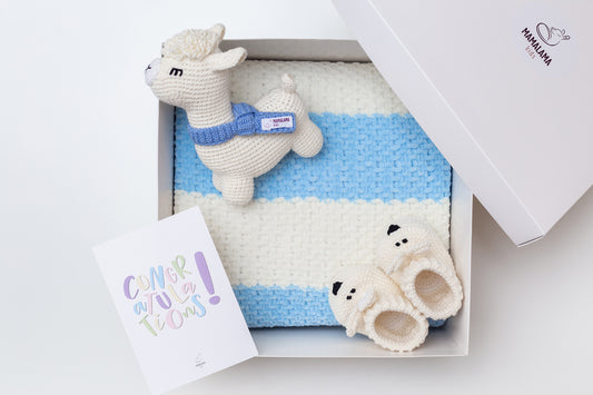 Llama toy & blanket & bunny booties gift box Blue