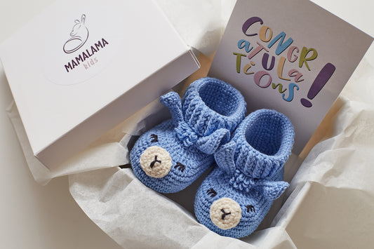 Llama booties pregnancy gift box Blue