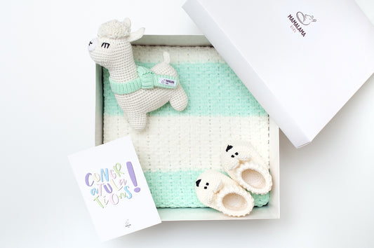 Llama toy & blanket & bunny booties gift box Green mint