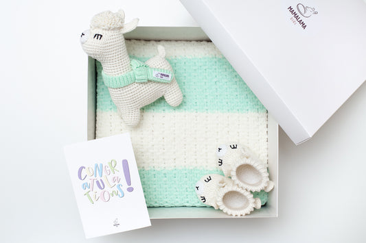 Llama toy & blanket & booties gift box Grint mint